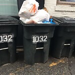 Rodent Issues at 1032 Commonwealth Ave, Boston