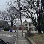 Sidewalk Repair at 6 Irving St
