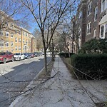 Public Trees at 20 Egmont St