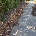 Sidewalk Obstruction at 30 Williston Rd