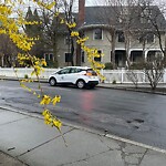 Parking Issues at 34 Emerson St