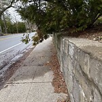 Sidewalk Obstruction at 24 Lagrange St, Chestnut Hill