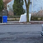 Trash/Recycling at 42.34 N 71.13 W