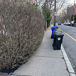 Sidewalk Obstruction at 14 Netherlands Rd