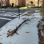 Sidewalk Obstruction at 45 Kendall St