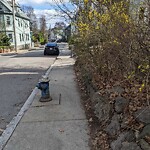 Sidewalk Obstruction at 29 Oakland Rd
