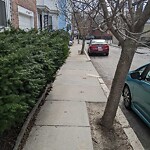 Sidewalk Obstruction at 9 Roberts St