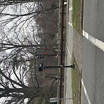 Other at Lee St