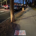 Parking Issues at 1863 Beacon St