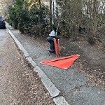 Trash/Recycling at 18 Cypress St