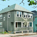 Public Trees at 52 Linden St