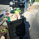 Trash/Recycling at 95 Freeman St
