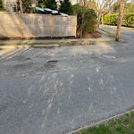 Pothole at 30 Norfolk Rd, Chestnut Hill
