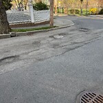 Pothole at 6 Norfolk Rd, Chestnut Hill