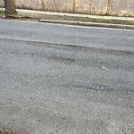 Pothole at 65 Crafts Rd, Chestnut Hill