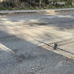 Pothole at 79 Crafts Rd, Chestnut Hill