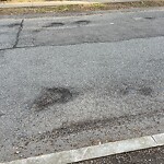 Pothole at 142 Crafts Rd, Chestnut Hill