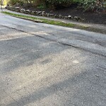 Pothole at 153 Crafts Rd, Chestnut Hill