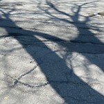 Pothole at 241 Crafts Rd, Chestnut Hill