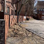Rodent Issues at 1349 Beacon St