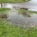 Water and Sewer at 42.31 N 71.14 W