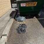 Rodent Issues at 1700 Beacon St