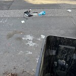 Trash/Recycling at 89 Mason Terr