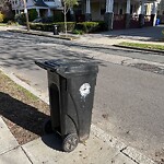 Trash/Recycling at 34 Manchester Rd