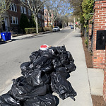 Trash/Recycling at 2 Still St