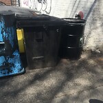 Rodent Issues at 1034 Commonwealth Ave, Boston