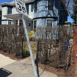 Damaged Sign at 385–439 Boylston St