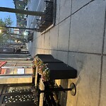 Sidewalk Obstruction at 1335 Beacon St