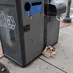 Trash/Recycling at 55 Lawton St