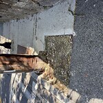 Sidewalk Repair at Warren St