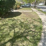 Parking Issues at 146 Bellingham Rd, Chestnut Hill