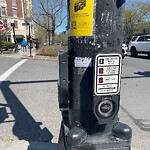 Traffic Signal at Beacon St