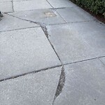 Sidewalk Repair at 1223 Beacon St