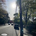Parking Issues at 156 Tappan St