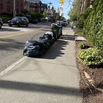 Trash/Recycling at 150 Saint Paul St
