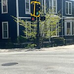 Traffic Signal at 200–204 Davis Ave