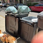 Trash/Recycling at 20 Alton Pl