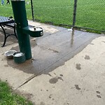 Water and Sewer at 599 Brookline Ave