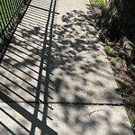 Sidewalk Repair at 54–72 Stanton Rd