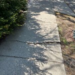 Sidewalk Repair at 66 Stanton Rd