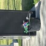 Trash/Recycling at Dudley Way