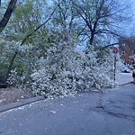 Sidewalk Obstruction at 42.34 N 71.11 W