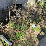 Other at 42.34 N 71.13 W