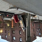 Trash/Recycling at 40 46 Harvard Ave