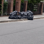 Trash/Recycling at 7 Still St