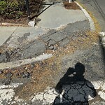 Sidewalk Repair at 64–90 Francis St